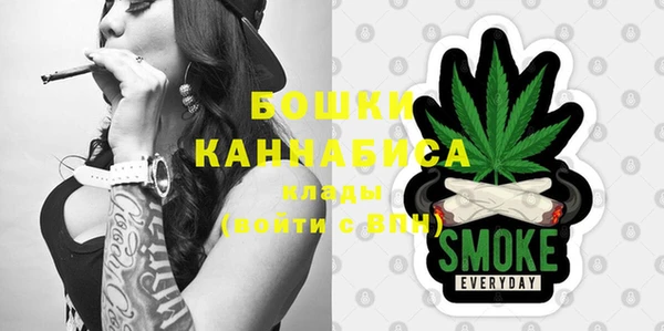 ешки Аркадак