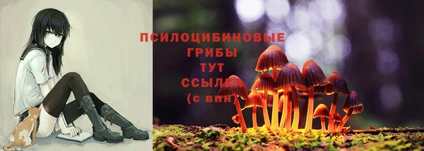 ешки Аркадак