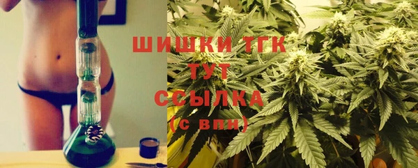 ешки Аркадак