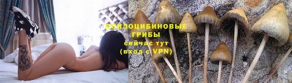 наркотики Абинск