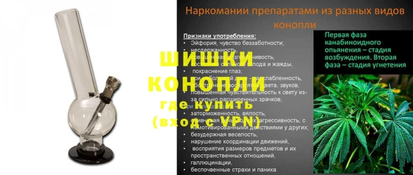 ешки Аркадак