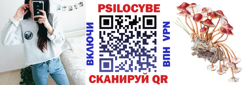 что такое наркотик  Пенза  Псилоцибиновые грибы Psilocybe 